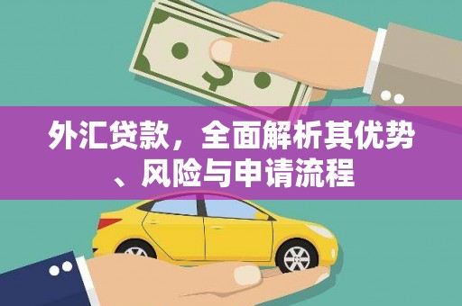 珠晖外汇贷款，全面解析其优势、风险与申请流程