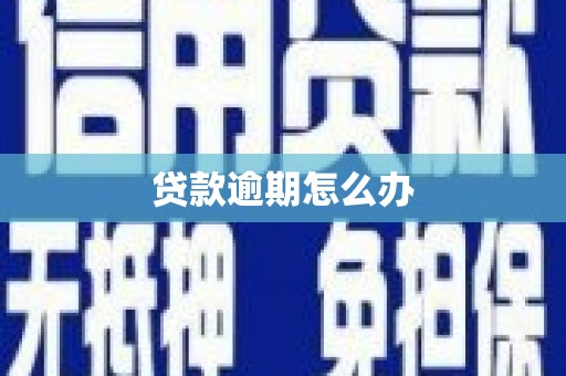 珠晖贷款逾期怎么办