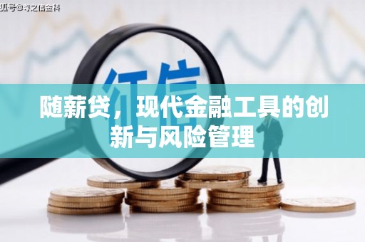 珠晖随薪贷，现代金融工具的创新与风险管理