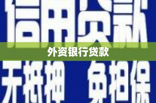 珠晖外资银行贷款
