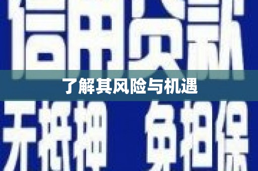 珠晖了解其风险与机遇