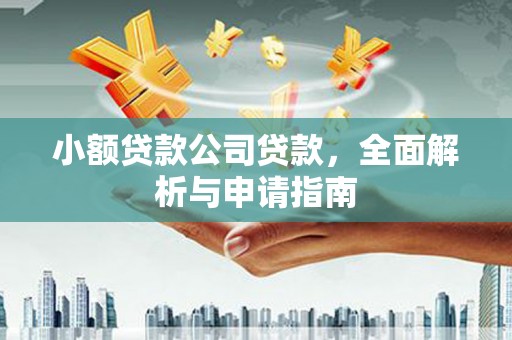 珠晖小额贷款公司贷款，全面解析与申请指南