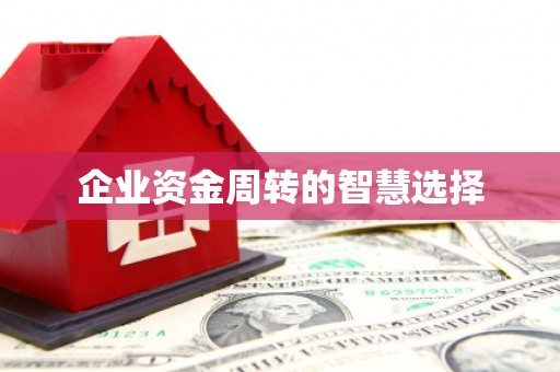 珠晖企业资金周转的智慧选择