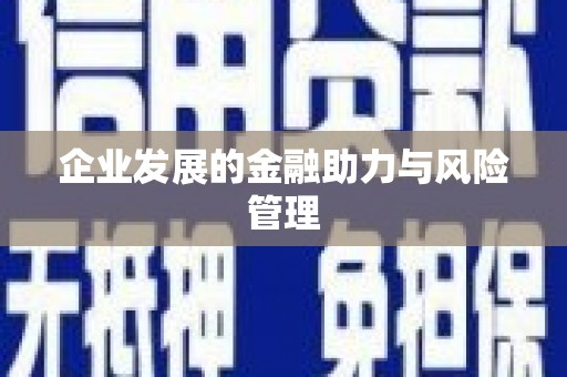 珠晖企业发展的金融助力与风险管理