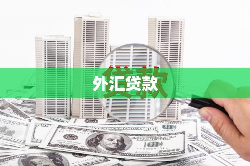 珠晖外汇贷款