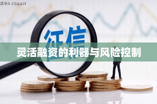 珠晖灵活融资的利器与风险控制