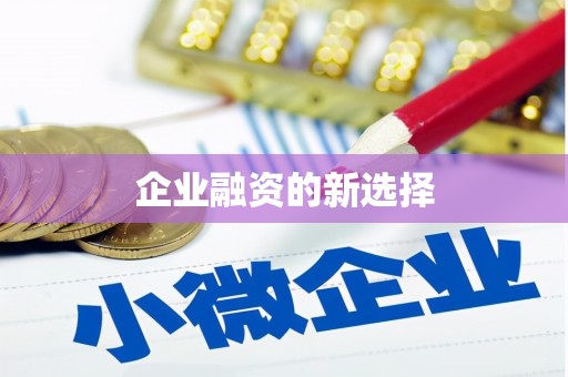 珠晖企业融资的新选择