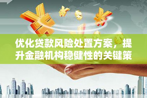 珠晖优化贷款风险处置方案，提升金融机构稳健性的关键策略