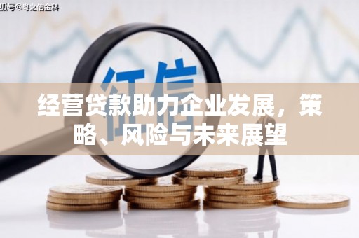 珠晖经营贷款助力企业发展，策略、风险与未来展望