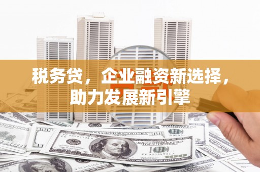 珠晖税务贷，企业融资新选择，助力发展新引擎