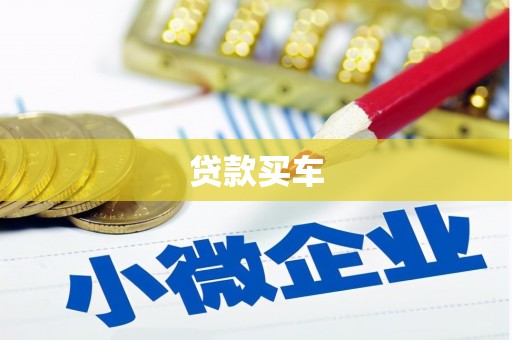 珠晖贷款买车