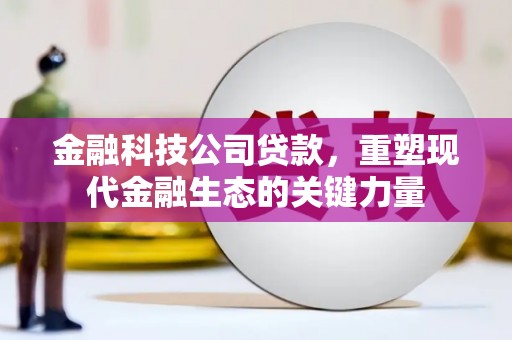 珠晖金融科技公司贷款，重塑现代金融生态的关键力量
