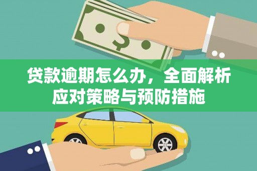 珠晖贷款逾期怎么办，全面解析应对策略与预防措施