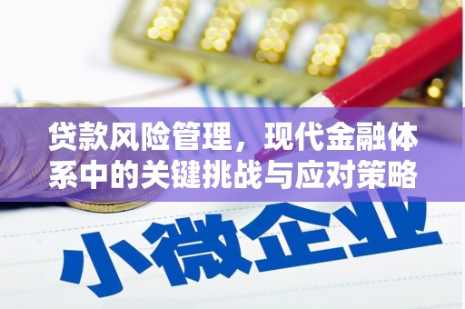 珠晖贷款风险管理，现代金融体系中的关键挑战与应对策略