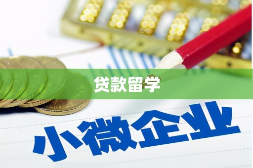 珠晖贷款留学