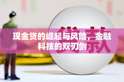 珠晖现金贷的崛起与风险，金融科技的双刃剑