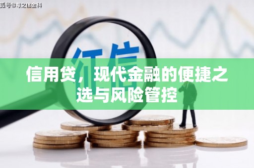 珠晖信用贷，现代金融的便捷之选与风险管控