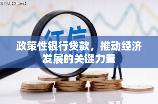 珠晖政策性银行贷款，推动经济发展的关键力量