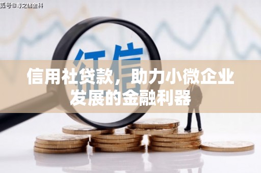 珠晖信用社贷款，助力小微企业发展的金融利器