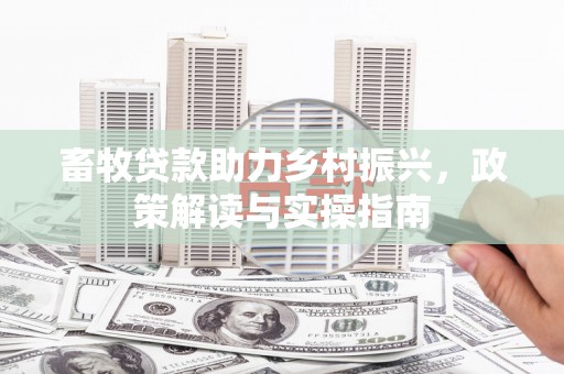 珠晖畜牧贷款助力乡村振兴，政策解读与实操指南