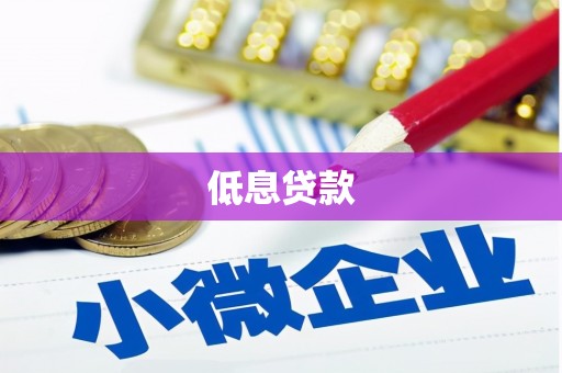 珠晖低息贷款