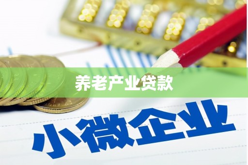 珠晖养老产业贷款