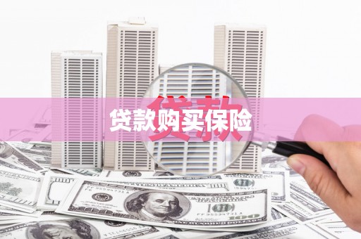 珠晖贷款购买保险