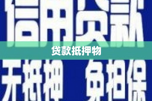 珠晖贷款抵押物