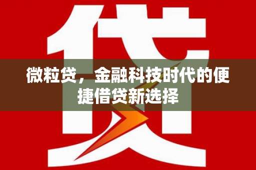 珠晖微粒贷，金融科技时代的便捷借贷新选择
