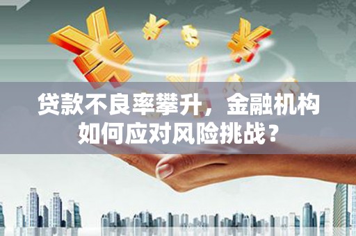 珠晖贷款不良率攀升，金融机构如何应对风险挑战？