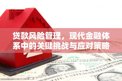 珠晖贷款风险管理，现代金融体系中的关键挑战与应对策略